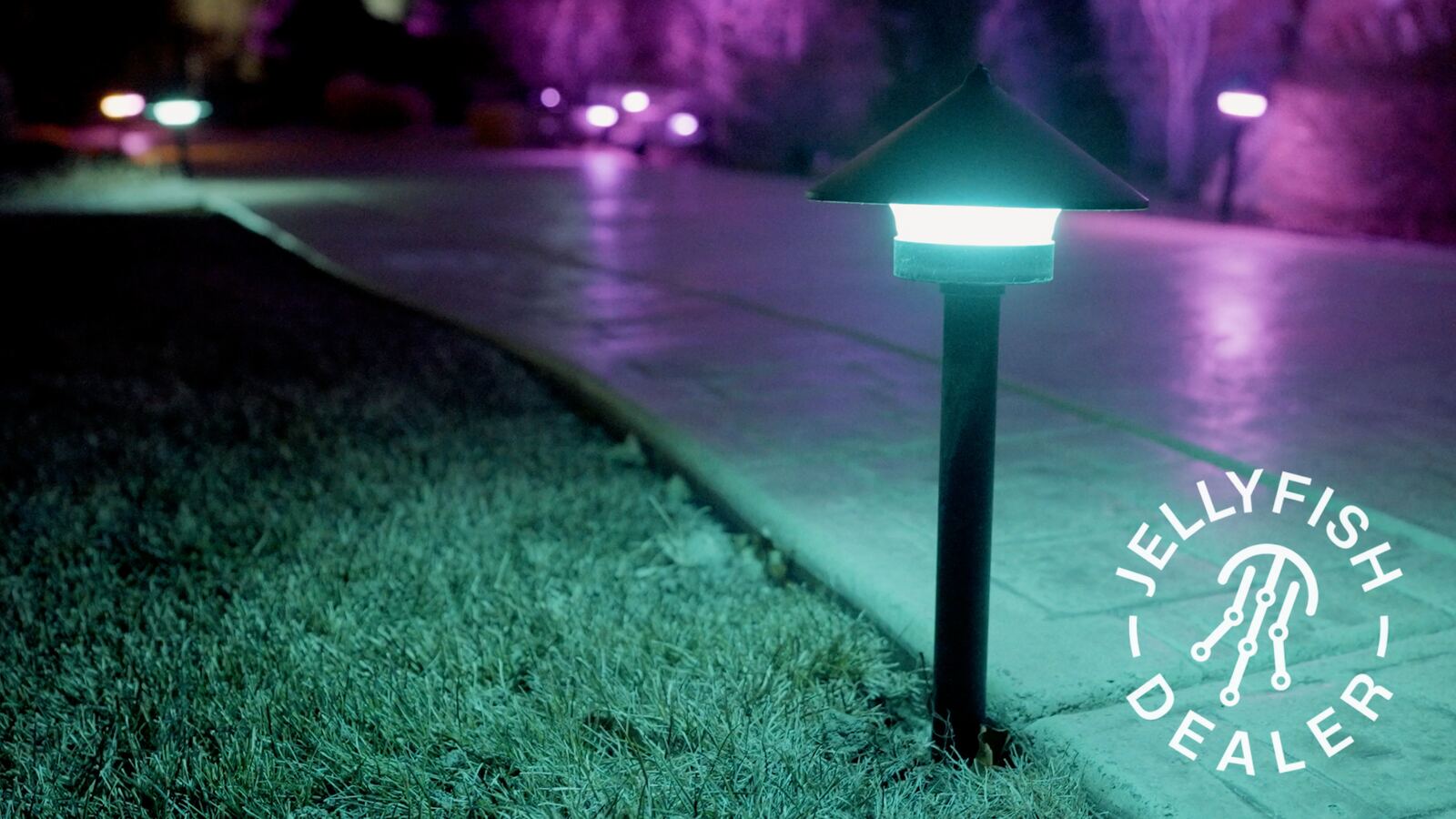 Landscape & Patio Lighting Chicago | Roof Lites Chicago